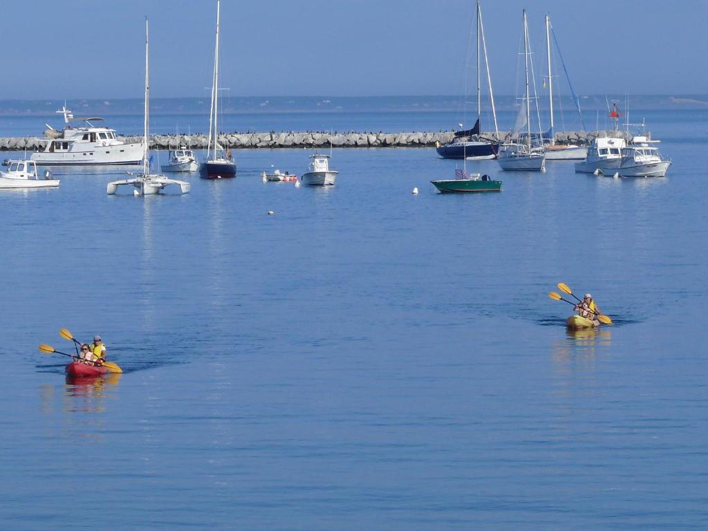 Anchor Inn Beach House Provincetown Ngoại thất bức ảnh