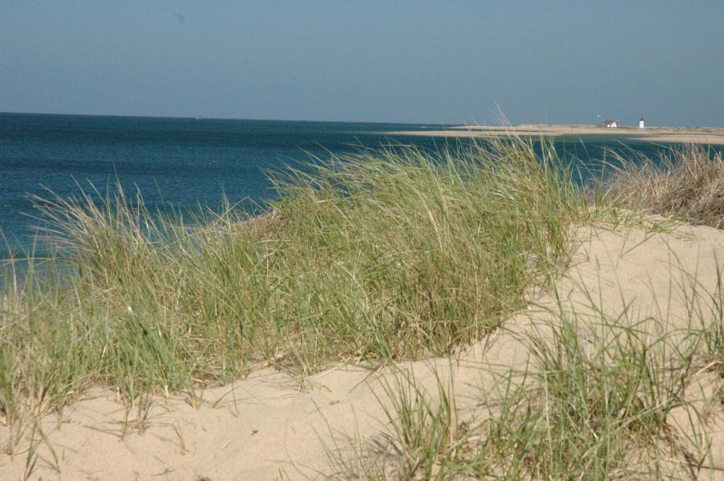 Anchor Inn Beach House Provincetown Ngoại thất bức ảnh